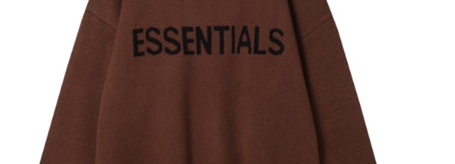 essentials hoodie Cover Image