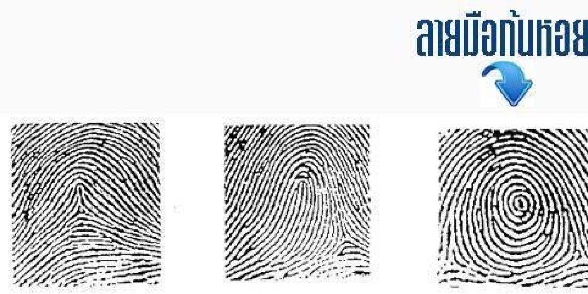 นิ้วมือคุณมีลายก้นหอยกี่นิ้ว