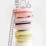 indifferent profile picture