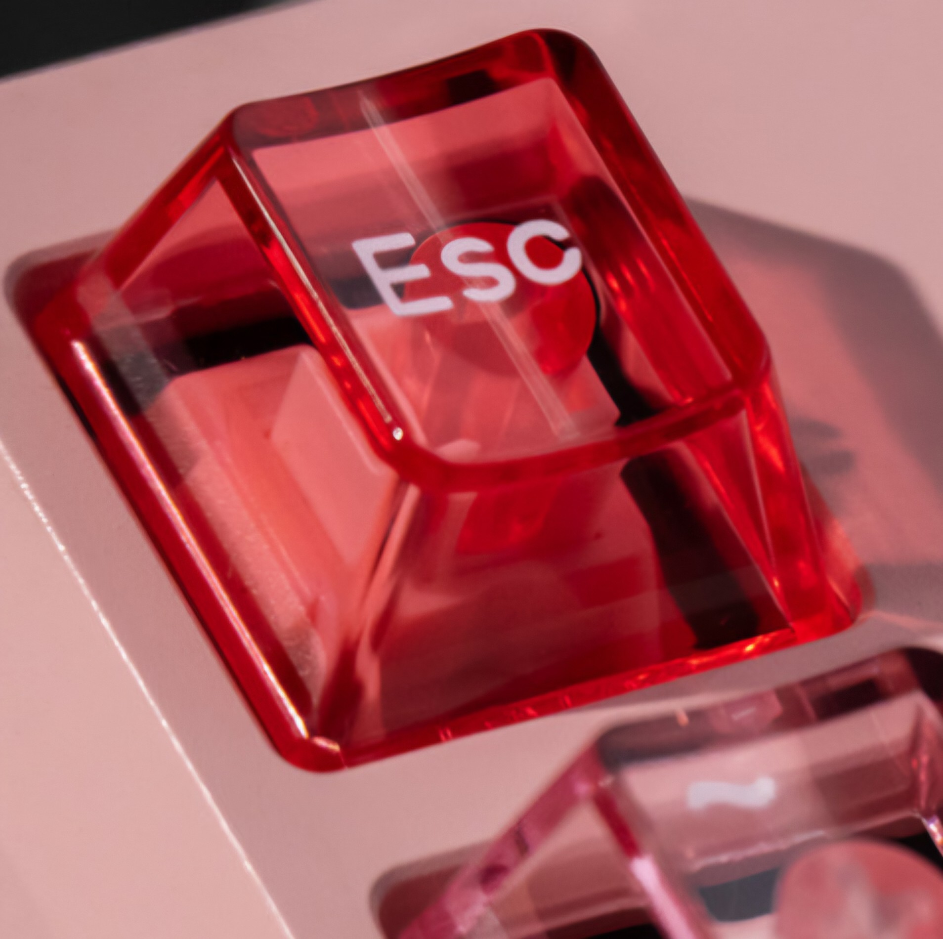 EscBackspace Profile Picture