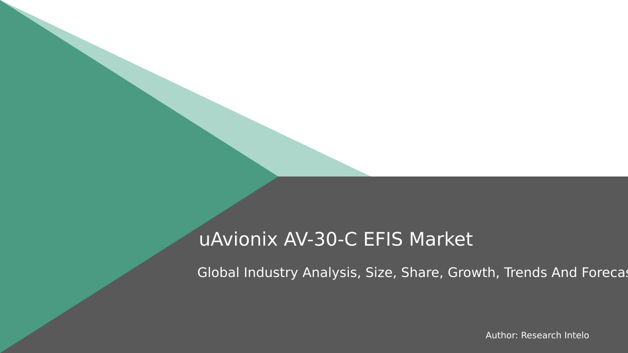 uAvionix AV-30-C EFIS Market Research Report 2033