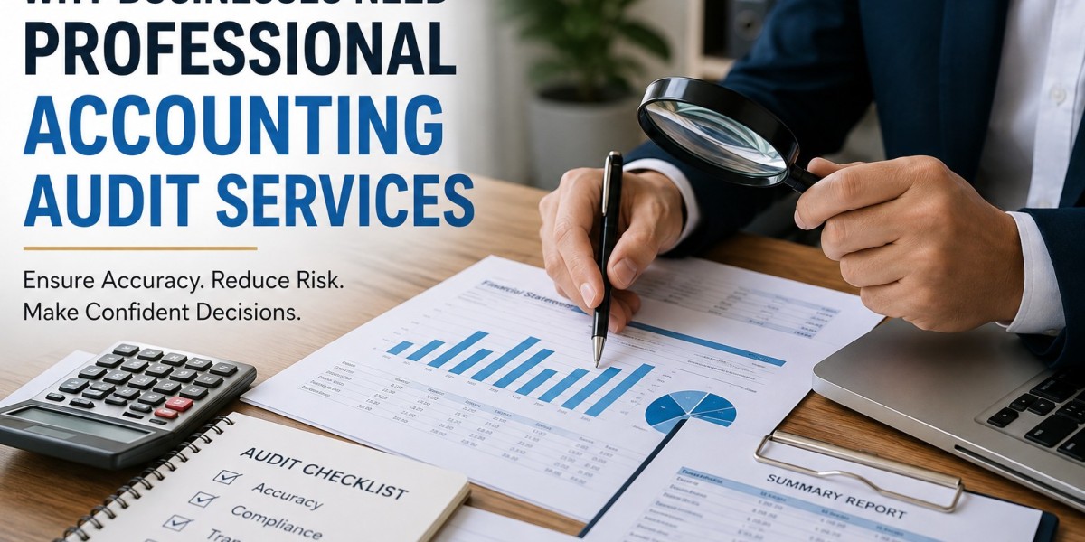 Why Businesses Need Professional Accounting Audit Services