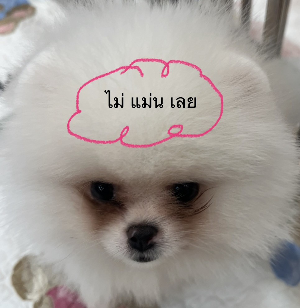 Comment image