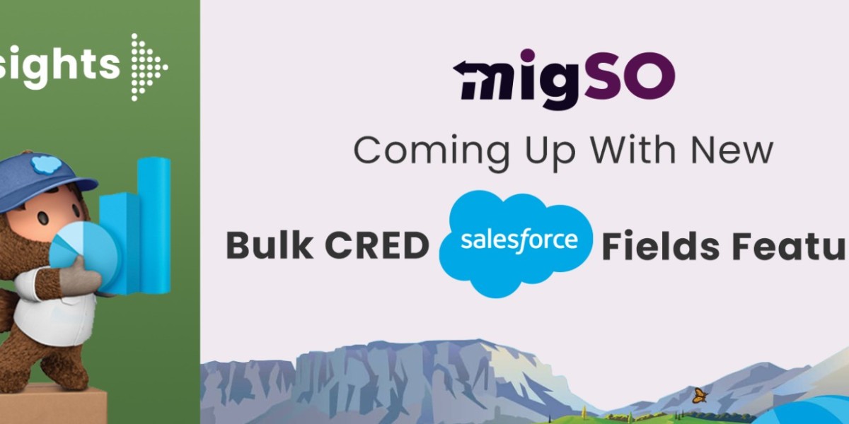 migSO Coming Up With New Bulk CRED Salesforce Fields Feature!