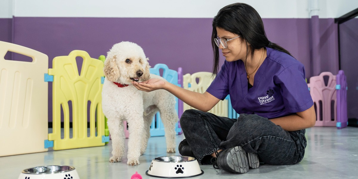 7 Indoor Games to Keep Your Dog Busy When It Is Too Hot Outside